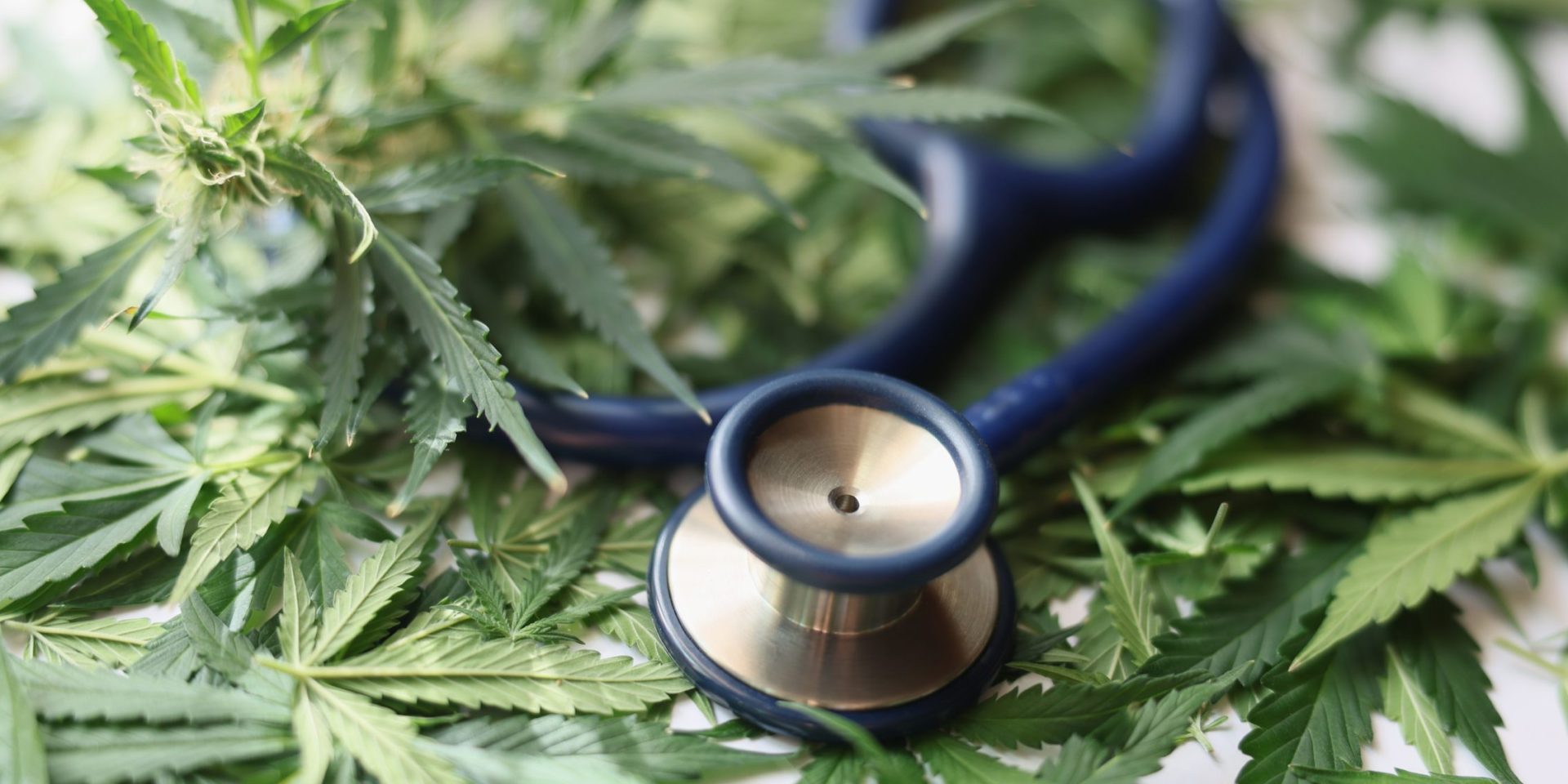 O Papel Dos Profissionais De Saúde Na Prescrição E Supervisão Do Uso De Cannabis Medicinal 0473